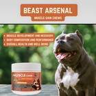 Dog Protein Muscle Gain Supplement Soft Chews Health