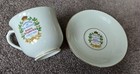 Queen Elizabeth Ii June 2nd 1953 Coronation Saucer Cup Windsor Bone China Ltd Ed