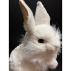 Hansa Toy International White Rabbit Plush Realistic Standing Bunny 12 Inch 2004