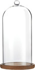 Glass Dome Cloche Display Case - 5 1 X 5 1 X 10 In  Clear Dome   Wood Base -    