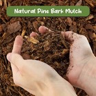 100  Natural Pine Bark Mulch Nuggets For Indoor outdoor Container Garden