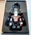 Misfits Medicom Doyle Wolfgang Von Frankenstein Vinyl Figure In Box Horror Punk