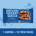 Nature s Bakery Blueberry Fig Bars  10 Twin Packs  2 Oz  Each