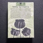 Terra Incognita Oracle Silver Gilded Edition By Urania Press