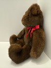 Beautiful Vintage Soft Brown Bear  Ty 1992 Illinois  Usa