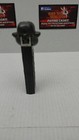 Pez Gorilla Red Eyes And Black dark Brown Stem