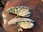 Pair Of Partly Beaded  Moccasins 10 Inch 
