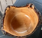 8 5   handcrafted Flared Natural Burl Live Edge Decorative fruit Bowl Signed