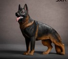 New 4 8  Beautifully Realistic German Shepherd Figurine Of Life Brand