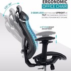 Mesh Office Chair  Ergonomic Office Chairs With Wheels  Adjustable Lumbar Suppor
