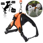 No Pull Pet Dog Cat Puppy Vest Harness Leash Soft Walk Collar Safety Strap S xl