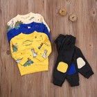 Toddler Baby Boy Sweatshirt Outfit Cartoon Dinosaur Top Sweatsuit Clothes Set