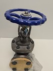Neway 2  Steel Gate Valve 7720200091 13d  Class 150 