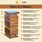 8-frame Beeswax Coated Langstroth Beehive Kit  2 Deep Boxes And 1 Medium Box 