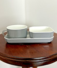 Northwest Airlines - Plate  Bowl   Cup Set - Grey - Great Condition