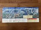 Vintage 2000-2001 Sunday River Ski Mountain Trail Map