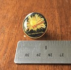 Vintage Western Airlines 1980   s Wally The Bird Mascot    the Only Way To Fly    Pin