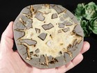 Larger  Polished Fluorescent Nodule Slab From Utah 347gr