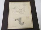 1851 Us Coast Survey Map   Columbia River Cape Dissapointment Oregon Washington