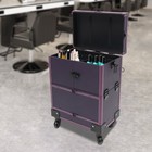 Rolling Makeup Train Case Fits Artist Trolley Cosmetic Organizer Box With Mirror