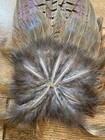 Wild Rooster Ringneck Pheasant Tail Feather Clump Wall Display Art On A Feather