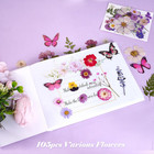 108pcs Dried Pressed Flowers And Butterfly Stickers For Resin Crafts Diy Art