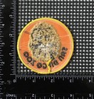 Vintage San Diego Zoo Lion Head California Travel Souvenir Iron-on Patch Ca