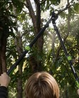 Workpro Extendable Bypass Loppers 25-37  Branch Cutter Heavy Duty Pruning Shears