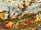 A  Rocky Butte Picture Jasper Slab  Lot 654
