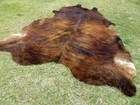 New Large Brindle Brown Cowhide Rug Natural Cowhides Cow Hide Skin 6x6 Feet Rrs