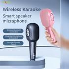Wireless Bluetooth Karaoke Microphone Portable Handheld Speaker Home Ktv Player