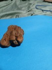 Native American Indian Authentic Amphibian Stone Art Effigy 
