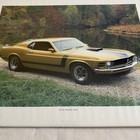 1987 Power Graphics Car Poster 16   x 20     532 1970 Boss 302