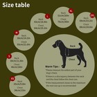 Dog Winter Coat  Warm Jacket Reflective Fleece Vest With Harness  Waterproof    