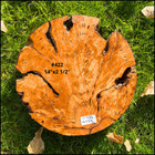 Large Olive Wood Live Edge Burl Cookies For Resin Projects  Wood Art