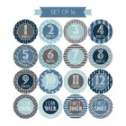 16 Blue Teal Baby Boy Milestone Stickers  12 Monthly Photo Picture Props For   