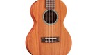 Cordoba 20tm Tenor Ukulele