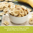 Bulk Unsweetened Dried Banana Chips  1 Lb - All Natural  Non-gmo Snack