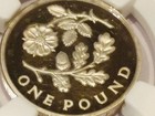 2013 Great Britain England Floral Gbp1 Proof-ngc Pf68 Ultra Cameo