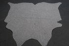 100  New Cowhide Rugs Area Cow Skin Leather  47 x 42   Cow Hide Sa-2141