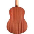 Cordoba Protege By Cordoba C1m Full Size Nylon String Guitar Natural Matte