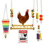6 Pack Chicken Toys     With Xylophone  Chicken Swing  Vegetable Feeder  Sign  Toy