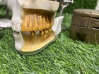 Lot Of  Articulator  Articulators - Vintage Dental Tools    C3