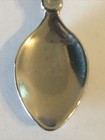 Grand Canyon National Park Vintage Souvenir Spoon Collectible