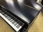 Excellent Condition Steinway   Sons Model D Concert Grand Piano
