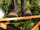 Ariat Ascent Tall Equestrian Riding Boots Sz 8 5b   10036043height med Calf wide