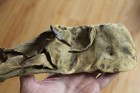 Post Medieval Doe Skin Liner For European Mitten Gauntlet Circa 1600 With Coa