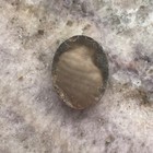 Mother Of Pearl Cameo Vintage Antique Jewelry Auctions Bargains Rare Beautiful