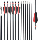 12pcs 30  Fiberglass Hunting Practice Arrows With Removable Tip For Compound Bow