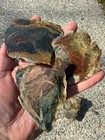 22 Lbs Of Morrisonite Picture Jasper Orbicular Faced Rough Lot 